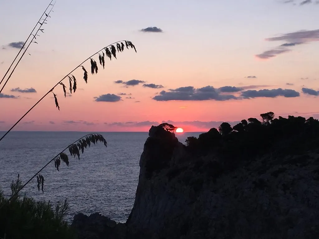 L'Olla Βίλα Cala Ratjada  Σπίτι διακοπών